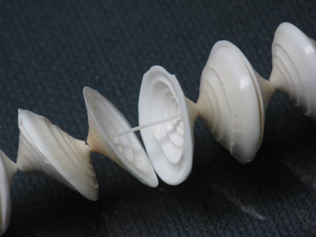 TOKO-BEADS PB007-87 Shell bead  (strand) 10~18mm (cannot be restocked) PB007-87 シェルビーズ（シンバル/連） 10~18mm 在庫限り Asian bead & African bead  Handmade,Lampeork,bead,asia,india,ethnic,parts,accessory,beads とんぼ玉,ビーズ,トンボ玉,アジア,インド,エスニック,手作り,パーツ,アクセサリー