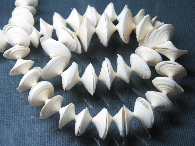 TOKO-BEADS PB007-87 Shell bead  (strand) 10~18mm (cannot be restocked) PB007-87 シェルビーズ（シンバル/連） 10~18mm 在庫限り Asian bead & African bead  Handmade,Lampeork,bead,asia,india,ethnic,parts,accessory,beads とんぼ玉,ビーズ,トンボ玉,アジア,インド,エスニック,手作り,パーツ,アクセサリー