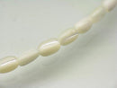 TOKO-BEADS PB007-64N Shell bead (strand) 4mm PB007-64N シェルビーズ（連） 4mm Asian bead & African bead  Handmade,Lampeork,bead,asia,india,ethnic,parts,accessory,beads とんぼ玉,ビーズ,トンボ玉,アジア,インド,エスニック,手作り,パーツ,アクセサリー