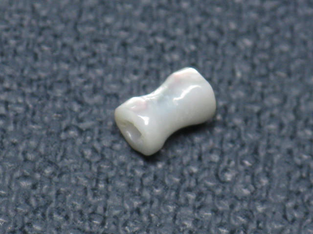 TOKO-BEADS PB007-62S Shell bead 3mm PB007-62S シェルビーズ 3mm Asian bead & African bead  Handmade,Lampeork,bead,asia,india,ethnic,parts,accessory,beads とんぼ玉,ビーズ,トンボ玉,アジア,インド,エスニック,手作り,パーツ,アクセサリー