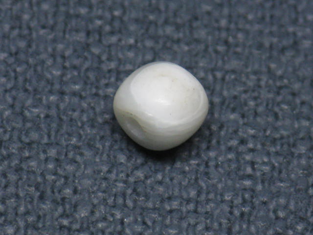 TOKO-BEADS PB007-65S Shell bead 4.5mm PB007-65S シェルビーズ 4.5mm Asian bead & African bead  Handmade,Lampeork,bead,asia,india,ethnic,parts,accessory,beads とんぼ玉,ビーズ,トンボ玉,アジア,インド,エスニック,手作り,パーツ,アクセサリー