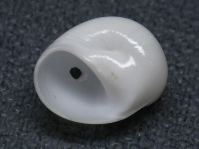 TOKO-BEADS PB007S-73 Shell bead 13~14mm PB007S-73 シェルビーズ 13~14mm Asian bead & African bead  Handmade,Lampeork,bead,asia,india,ethnic,parts,accessory,beads とんぼ玉,ビーズ,トンボ玉,アジア,インド,エスニック,手作り,パーツ,アクセサリー