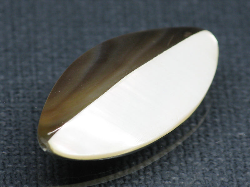 TOKO-BEADS PB007-77S Shell bead 17~17.5mm PB007-77S シェルビーズ 17~17.5mm Asian bead & African bead  Handmade,Lampeork,bead,asia,india,ethnic,parts,accessory,beads とんぼ玉,ビーズ,トンボ玉,アジア,インド,エスニック,手作り,パーツ,アクセサリー