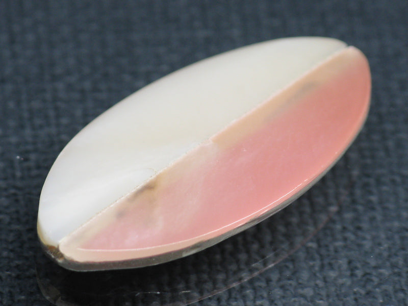 TOKO-BEADS PB007-79S Shell bead 16mm PB007-79S シェルビーズ 16mm Asian bead & African bead  Handmade,Lampeork,bead,asia,india,ethnic,parts,accessory,beads とんぼ玉,ビーズ,トンボ玉,アジア,インド,エスニック,手作り,パーツ,アクセサリー