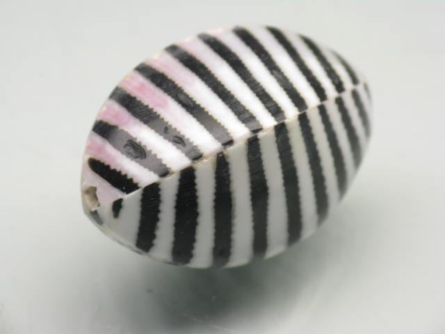 TOKO-BEADS PB007-84S Shell bead 19mm PB007-84S シェルビーズ 19mm Asian bead & African bead  Handmade,Lampeork,bead,asia,india,ethnic,parts,accessory,beads とんぼ玉,ビーズ,トンボ玉,アジア,インド,エスニック,手作り,パーツ,アクセサリー