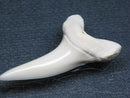 TOKO-BEADS PB009-08 Shark Tooth (Mako Shark LL) 38mm PB009-08 サメの歯（アオザメＬＬ） 38mm Asian bead & African bead  Handmade,Lampeork,bead,asia,india,ethnic,parts,accessory,beads とんぼ玉,ビーズ,トンボ玉,アジア,インド,エスニック,手作り,パーツ,アクセサリー