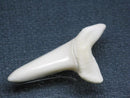 TOKO-BEADS PB009-11 Shark Tooth (Mako Shark LL) 35mm PB009-11 サメの歯（アオザメＬＬ） 35mm Asian bead & African bead  Handmade,Lampeork,bead,asia,india,ethnic,parts,accessory,beads とんぼ玉,ビーズ,トンボ玉,アジア,インド,エスニック,手作り,パーツ,アクセサリー