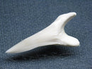 TOKO-BEADS PB009-17 Shark Tooth (Mako Shark LL) 36mm PB009-17 サメの歯（アオザメＬＬ） 36mm Asian bead & African bead  Handmade,Lampeork,bead,asia,india,ethnic,parts,accessory,beads とんぼ玉,ビーズ,トンボ玉,アジア,インド,エスニック,手作り,パーツ,アクセサリー
