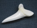 TOKO-BEADS PB009-24 Shark Tooth (Mako Shark LL) 37mm PB009-24 サメの歯（アオザメＬＬ） 37mm Asian bead & African bead  Handmade,Lampeork,bead,asia,india,ethnic,parts,accessory,beads とんぼ玉,ビーズ,トンボ玉,アジア,インド,エスニック,手作り,パーツ,アクセサリー