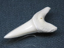 TOKO-BEADS PB009-25 Shark Tooth (Mako Shark LL) 37mm PB009-25 サメの歯（アオザメＬＬ） 37mm Asian bead & African bead  Handmade,Lampeork,bead,asia,india,ethnic,parts,accessory,beads とんぼ玉,ビーズ,トンボ玉,アジア,インド,エスニック,手作り,パーツ,アクセサリー