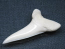 TOKO-BEADS PB009-27 Shark Tooth (Mako Shark LL) 38mm PB009-27 サメの歯（アオザメＬＬ） 38mm Asian bead & African bead  Handmade,Lampeork,bead,asia,india,ethnic,parts,accessory,beads とんぼ玉,ビーズ,トンボ玉,アジア,インド,エスニック,手作り,パーツ,アクセサリー