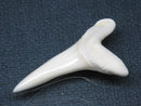 TOKO-BEADS PB009-30 Shark Tooth (Mako Shark LL) 36mm PB009-30 サメの歯（アオザメＬＬ） 36mm Asian bead & African bead  Handmade,Lampeork,bead,asia,india,ethnic,parts,accessory,beads とんぼ玉,ビーズ,トンボ玉,アジア,インド,エスニック,手作り,パーツ,アクセサリー
