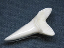 TOKO-BEADS PB009-32 Shark Tooth (Mako Shark LL) 37mm PB009-32 サメの歯（アオザメＬＬ） 37mm Asian bead & African bead  Handmade,Lampeork,bead,asia,india,ethnic,parts,accessory,beads とんぼ玉,ビーズ,トンボ玉,アジア,インド,エスニック,手作り,パーツ,アクセサリー