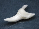 TOKO-BEADS PB009-33 Shark Tooth (Mako Shark LL) 37mm PB009-33 サメの歯（アオザメＬＬ） 37mm Asian bead & African bead  Handmade,Lampeork,bead,asia,india,ethnic,parts,accessory,beads とんぼ玉,ビーズ,トンボ玉,アジア,インド,エスニック,手作り,パーツ,アクセサリー