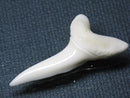 TOKO-BEADS PB009-51 Shark Tooth (Mako Shark LL) 37mm PB009-51 サメの歯（アオザメＬＬ） 37mm Asian bead & African bead  Handmade,Lampeork,bead,asia,india,ethnic,parts,accessory,beads とんぼ玉,ビーズ,トンボ玉,アジア,インド,エスニック,手作り,パーツ,アクセサリー