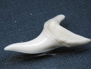 TOKO-BEADS PB009-60 Shark Tooth (Mako Shark LL) 39mm PB009-60 サメの歯（アオザメＬＬ） 39mm Asian bead & African bead  Handmade,Lampeork,bead,asia,india,ethnic,parts,accessory,beads とんぼ玉,ビーズ,トンボ玉,アジア,インド,エスニック,手作り,パーツ,アクセサリー