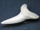 TOKO-BEADS PB009-69 Shark Tooth (Mako Shark LL) 39mm PB009-69 サメの歯（アオザメＬＬ） 39mm Asian bead & African bead  Handmade,Lampeork,bead,asia,india,ethnic,parts,accessory,beads とんぼ玉,ビーズ,トンボ玉,アジア,インド,エスニック,手作り,パーツ,アクセサリー