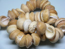 TOKO-BEADS PB014-19 Puka-Shell (West Africa) 14~18mm PB014-19 プカシェル（西アフリカ） 14~18mm Asian bead & African bead  Handmade,Lampeork,bead,asia,india,ethnic,parts,accessory,beads とんぼ玉,ビーズ,トンボ玉,アジア,インド,エスニック,手作り,パーツ,アクセサリー