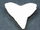 TOKO-BEADS PB015-47 Shark Tooth(Bull Shark L) 27mm PB015-47 サメの歯（オオメジロザメ Ｌ） 27mm Asian bead & African bead  Handmade,Lampeork,bead,asia,india,ethnic,parts,accessory,beads とんぼ玉,ビーズ,トンボ玉,アジア,インド,エスニック,手作り,パーツ,アクセサリー