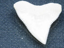 TOKO-BEADS PB015-71 Shark Tooth(Bull Shark L) 25mm PB015-71 サメの歯（オオメジロザメ Ｌ） 25mm Asian bead & African bead  Handmade,Lampeork,bead,asia,india,ethnic,parts,accessory,beads とんぼ玉,ビーズ,トンボ玉,アジア,インド,エスニック,手作り,パーツ,アクセサリー