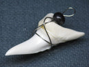 TOKO-BEADS PB016-01 Shark Tooth (Maco Shark with wire LL) 41mm PB016-01 サメの歯（アオザメ ワイヤー付 LL） 41mm Asian bead & African bead  Handmade,Lampeork,bead,asia,india,ethnic,parts,accessory,beads とんぼ玉,ビーズ,トンボ玉,アジア,インド,エスニック,手作り,パーツ,アクセサリー