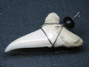 TOKO-BEADS PB016-02 Shark Tooth (Maco Shark with wire LL) 36mm PB016-02 サメの歯（アオザメ ワイヤー付 LL） 36mm Asian bead & African bead  Handmade,Lampeork,bead,asia,india,ethnic,parts,accessory,beads とんぼ玉,ビーズ,トンボ玉,アジア,インド,エスニック,手作り,パーツ,アクセサリー