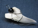 TOKO-BEADS PB016-03 Shark Tooth (Maco Shark with wire LL) 36mm PB016-03 サメの歯（アオザメ ワイヤー付 LL） 36mm Asian bead & African bead  Handmade,Lampeork,bead,asia,india,ethnic,parts,accessory,beads とんぼ玉,ビーズ,トンボ玉,アジア,インド,エスニック,手作り,パーツ,アクセサリー