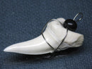 TOKO-BEADS PB016-03 Shark Tooth (Maco Shark with wire LL) 36mm PB016-03 サメの歯（アオザメ ワイヤー付 LL） 36mm Asian bead & African bead  Handmade,Lampeork,bead,asia,india,ethnic,parts,accessory,beads とんぼ玉,ビーズ,トンボ玉,アジア,インド,エスニック,手作り,パーツ,アクセサリー
