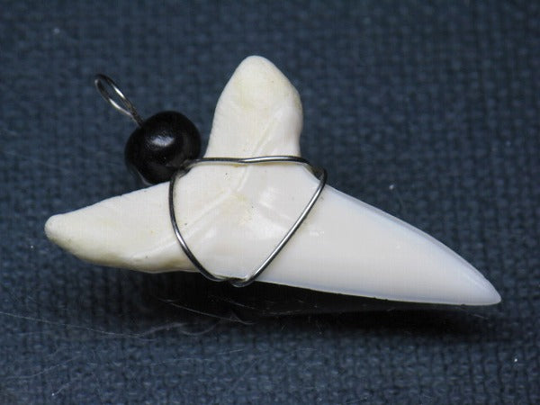 TOKO-BEADS PB016-04 Shark Tooth (Maco Shark with wire LL) 35mm PB016-04 サメの歯（アオザメ ワイヤー付 LL） 35mm Asian bead & African bead  Handmade,Lampeork,bead,asia,india,ethnic,parts,accessory,beads とんぼ玉,ビーズ,トンボ玉,アジア,インド,エスニック,手作り,パーツ,アクセサリー