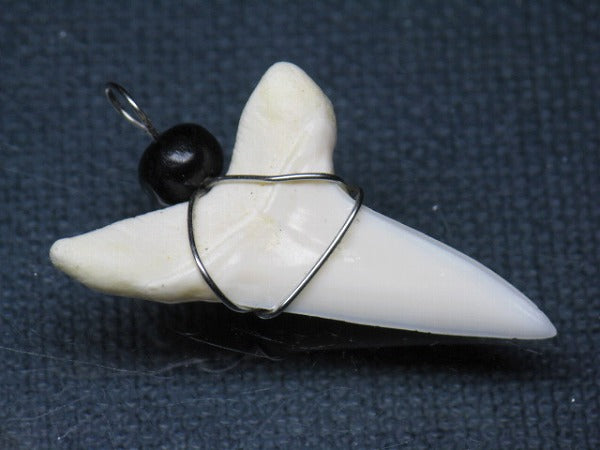 PB016-04サメの歯（アオザメ ワイヤー付 LL）35mm (5622918676632)
