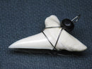 TOKO-BEADS PB016-04 Shark Tooth (Maco Shark with wire LL) 35mm PB016-04 サメの歯（アオザメ ワイヤー付 LL） 35mm Asian bead & African bead  Handmade,Lampeork,bead,asia,india,ethnic,parts,accessory,beads とんぼ玉,ビーズ,トンボ玉,アジア,インド,エスニック,手作り,パーツ,アクセサリー