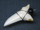 TOKO-BEADS PB016-05 Shark Tooth (Maco Shark with wire LL) 35mm PB016-05 サメの歯（アオザメ ワイヤー付 LL） 35mm Asian bead & African bead  Handmade,Lampeork,bead,asia,india,ethnic,parts,accessory,beads とんぼ玉,ビーズ,トンボ玉,アジア,インド,エスニック,手作り,パーツ,アクセサリー