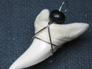 TOKO-BEADS PB016-07 Shark Tooth (Maco Shark with wire LL) 37mm PB016-07 サメの歯（アオザメ ワイヤー付 LL） 37mm Asian bead & African bead  Handmade,Lampeork,bead,asia,india,ethnic,parts,accessory,beads とんぼ玉,ビーズ,トンボ玉,アジア,インド,エスニック,手作り,パーツ,アクセサリー