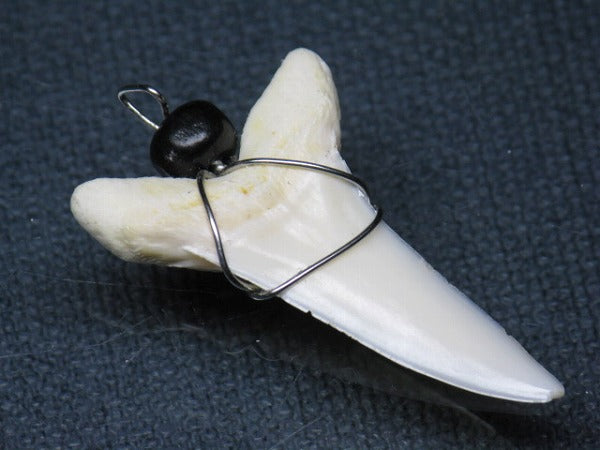 TOKO-BEADS PB016-08 Shark Tooth (Maco Shark with wire LL) 36mm PB016-08 サメの歯（アオザメ ワイヤー付 LL） 36mm Asian bead & African bead  Handmade,Lampeork,bead,asia,india,ethnic,parts,accessory,beads とんぼ玉,ビーズ,トンボ玉,アジア,インド,エスニック,手作り,パーツ,アクセサリー