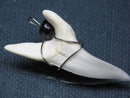 TOKO-BEADS PB016-10 Shark Tooth (Maco Shark with wire LL) 42mm PB016-10 サメの歯（アオザメ ワイヤー付 LL） 42mm Asian bead & African bead  Handmade,Lampeork,bead,asia,india,ethnic,parts,accessory,beads とんぼ玉,ビーズ,トンボ玉,アジア,インド,エスニック,手作り,パーツ,アクセサリー