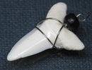 TOKO-BEADS PB016-11 Shark Tooth (Maco Shark with wire LL) 31mm PB016-11 サメの歯（アオザメ ワイヤー付 LL） 31mm Asian bead & African bead  Handmade,Lampeork,bead,asia,india,ethnic,parts,accessory,beads とんぼ玉,ビーズ,トンボ玉,アジア,インド,エスニック,手作り,パーツ,アクセサリー