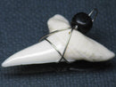 TOKO-BEADS PB016-12 Shark Tooth (Maco Shark with wire LL) 33mm PB016-12 サメの歯（アオザメ ワイヤー付 LL） 33mm Asian bead & African bead  Handmade,Lampeork,bead,asia,india,ethnic,parts,accessory,beads とんぼ玉,ビーズ,トンボ玉,アジア,インド,エスニック,手作り,パーツ,アクセサリー
