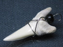 TOKO-BEADS PB016-13 Shark Tooth (Maco Shark with wire LL) 41mm PB016-13 サメの歯（アオザメ ワイヤー付 LL） 41mm Asian bead & African bead  Handmade,Lampeork,bead,asia,india,ethnic,parts,accessory,beads とんぼ玉,ビーズ,トンボ玉,アジア,インド,エスニック,手作り,パーツ,アクセサリー