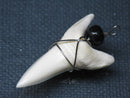 TOKO-BEADS PB016-14 Shark Tooth (Maco Shark with wire LL) 39mm PB016-14 サメの歯（アオザメ ワイヤー付 LL） 39mm Asian bead & African bead  Handmade,Lampeork,bead,asia,india,ethnic,parts,accessory,beads とんぼ玉,ビーズ,トンボ玉,アジア,インド,エスニック,手作り,パーツ,アクセサリー