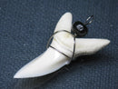 TOKO-BEADS PB016-16 Shark Tooth (Maco Shark with wire LL) 38mm PB016-16 サメの歯（アオザメ ワイヤー付 LL） 38mm Asian bead & African bead  Handmade,Lampeork,bead,asia,india,ethnic,parts,accessory,beads とんぼ玉,ビーズ,トンボ玉,アジア,インド,エスニック,手作り,パーツ,アクセサリー