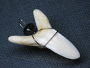 TOKO-BEADS PB016-18 Shark Tooth (Maco Shark with wire LL) 33mm PB016-18 サメの歯（アオザメ ワイヤー付 LL） 33mm Asian bead & African bead  Handmade,Lampeork,bead,asia,india,ethnic,parts,accessory,beads とんぼ玉,ビーズ,トンボ玉,アジア,インド,エスニック,手作り,パーツ,アクセサリー