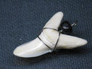 TOKO-BEADS PB016-18 Shark Tooth (Maco Shark with wire LL) 33mm PB016-18 サメの歯（アオザメ ワイヤー付 LL） 33mm Asian bead & African bead  Handmade,Lampeork,bead,asia,india,ethnic,parts,accessory,beads とんぼ玉,ビーズ,トンボ玉,アジア,インド,エスニック,手作り,パーツ,アクセサリー