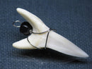 TOKO-BEADS PB016-20 Shark Tooth (Maco Shark with wire LL) 39mm PB016-20 サメの歯（アオザメ ワイヤー付 LL） 39mm Asian bead & African bead  Handmade,Lampeork,bead,asia,india,ethnic,parts,accessory,beads とんぼ玉,ビーズ,トンボ玉,アジア,インド,エスニック,手作り,パーツ,アクセサリー