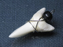 TOKO-BEADS PB016-21 Shark Tooth (Maco Shark with wire LL) 35mm PB016-21 サメの歯（アオザメ ワイヤー付 LL） 35mm Asian bead & African bead  Handmade,Lampeork,bead,asia,india,ethnic,parts,accessory,beads とんぼ玉,ビーズ,トンボ玉,アジア,インド,エスニック,手作り,パーツ,アクセサリー