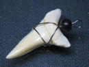 TOKO-BEADS PB016-22 Shark Tooth (Maco Shark with wire LL) 38mm PB016-22 サメの歯（アオザメ ワイヤー付 LL） 38mm Asian bead & African bead  Handmade,Lampeork,bead,asia,india,ethnic,parts,accessory,beads とんぼ玉,ビーズ,トンボ玉,アジア,インド,エスニック,手作り,パーツ,アクセサリー