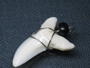 TOKO-BEADS PB016-24 Shark Tooth (Maco Shark with wire LL) 34mm PB016-24 サメの歯（アオザメ ワイヤー付 LL） 34mm Asian bead & African bead  Handmade,Lampeork,bead,asia,india,ethnic,parts,accessory,beads とんぼ玉,ビーズ,トンボ玉,アジア,インド,エスニック,手作り,パーツ,アクセサリー