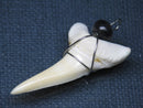 TOKO-BEADS PB016-25 Shark Tooth (Maco Shark with wire LL) 38mm PB016-25 サメの歯（アオザメ ワイヤー付 LL） 38mm Asian bead & African bead  Handmade,Lampeork,bead,asia,india,ethnic,parts,accessory,beads とんぼ玉,ビーズ,トンボ玉,アジア,インド,エスニック,手作り,パーツ,アクセサリー