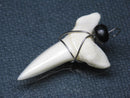 TOKO-BEADS PB016-26 Shark Tooth (Maco Shark with wire LL) 33mm PB016-26 サメの歯（アオザメ ワイヤー付 LL） 33mm Asian bead & African bead  Handmade,Lampeork,bead,asia,india,ethnic,parts,accessory,beads とんぼ玉,ビーズ,トンボ玉,アジア,インド,エスニック,手作り,パーツ,アクセサリー