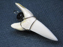 TOKO-BEADS PB016-28 Shark Tooth (Maco Shark with wire LL) 38mm PB016-28 サメの歯（アオザメ ワイヤー付 LL） 38mm Asian bead & African bead  Handmade,Lampeork,bead,asia,india,ethnic,parts,accessory,beads とんぼ玉,ビーズ,トンボ玉,アジア,インド,エスニック,手作り,パーツ,アクセサリー