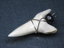 TOKO-BEADS PB016-28 Shark Tooth (Maco Shark with wire LL) 38mm PB016-28 サメの歯（アオザメ ワイヤー付 LL） 38mm Asian bead & African bead  Handmade,Lampeork,bead,asia,india,ethnic,parts,accessory,beads とんぼ玉,ビーズ,トンボ玉,アジア,インド,エスニック,手作り,パーツ,アクセサリー
